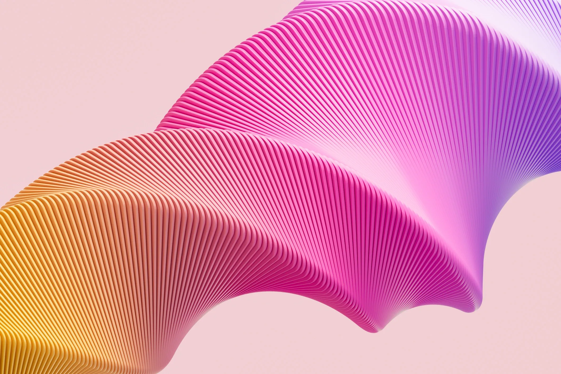 General Design Services - Premium Package