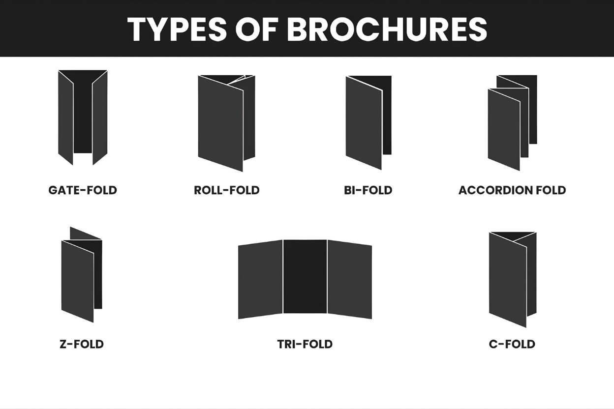 Brochure Design Services